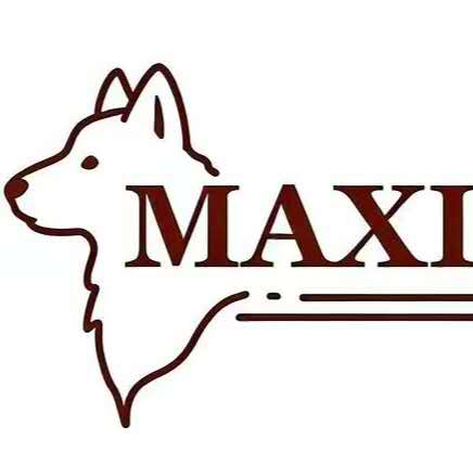 Maxi logo
